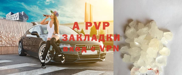 ECSTASY Новозыбков