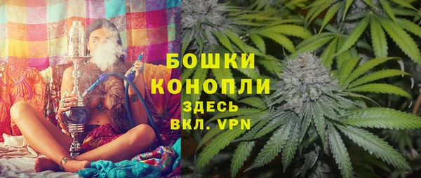 ECSTASY Новозыбков