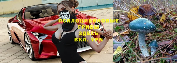 скорость mdpv Новодвинск