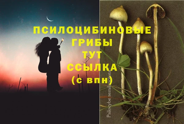 марки lsd Нея